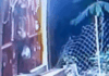 सतना में CCTV से पकड़ाए दो चोर:  साड़ी पहनकर शनि मंदिर से दानपेटी; हनुमान मंदिर से 15 हजार का मुकुट ले गए थे - Satna News