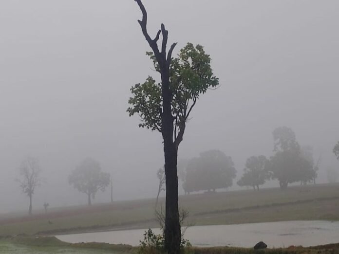 सरगुजा में प्री-मानसून बारिश...उमस से मिली राहत:  कई इलाकों में झमाझम बरसे बादल; तापमान में गिरावट, मौसम हुआ सुहाना - Ambikapur (Surguja) News
