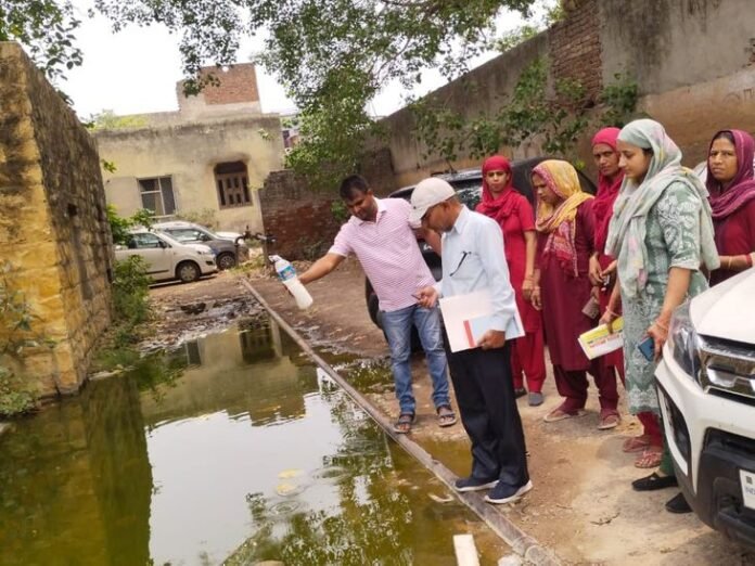 सोहना में सरकारी दफ्तर में मिला मच्छर का लार्वा:  पोस्ट ऑफिस-बिजली निगम को नोटिस जारी; डेगू फैलने का खतरा - Sohna News