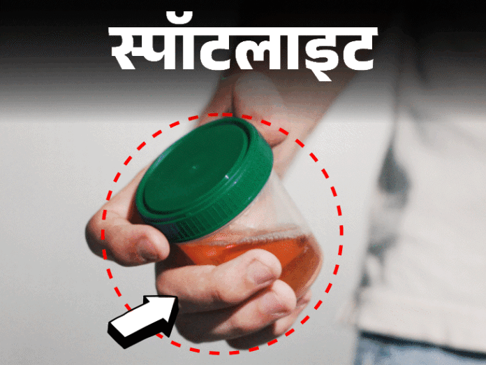 स्पॉटलाइट- इंसानी मूत्र से होगा दांतों और हड्डियों का इलाज:  साइंटिस्ट्स को कैसे आया ये आइडिया, देखें वीडियो