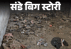 ‘एग्जाम का प्रेशर हटाने के लिए रोज इंजेक्शन लेती हूं':  पटना में एक कॉल पर 150 रुपए में नशे का एक डोज, वो भी थाने से थोड़ी दूर