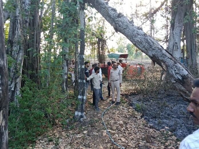 1 हजार साल पुराने बरगद में लगी आग:  शाजापुर में ग्रामीणों और दमकल की मदद से पाया काबू - shajapur (MP) News