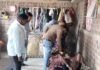 4 की मौत के बाद एक्शन मोड में आए अफसर:  बड़वानी के लिम्बई गांव में स्वास्थ्य विभाग की टीम पहुंची, घर-घर जाकर लोगों का हाल जाना - Barwani News