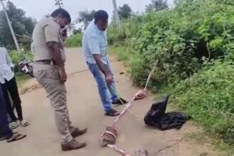 Karnataka Woman dead body head found in many locations | कर्नाटक में महिला का कटा हुआ सिर मिला: 10 अलग-अलग जगहों से शव के टुकड़े बरामद, 4 दिन से लापता थी महिला