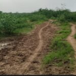 High court’s stay on the newly formed Gram Panchayat Kalapura | जालोर की नवगठित ग्राम पंचायत कलापुरा पर हाईकोर्ट की रोक: 12 अगस्त को फिर होगी सुनवाई; जिला प्रशासन ने नियम विरुद्ध बनाया था – Jalore News