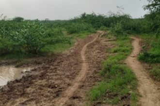 High court’s stay on the newly formed Gram Panchayat Kalapura | जालोर की नवगठित ग्राम पंचायत कलापुरा पर हाईकोर्ट की रोक: 12 अगस्त को फिर होगी सुनवाई; जिला प्रशासन ने नियम विरुद्ध बनाया था – Jalore News