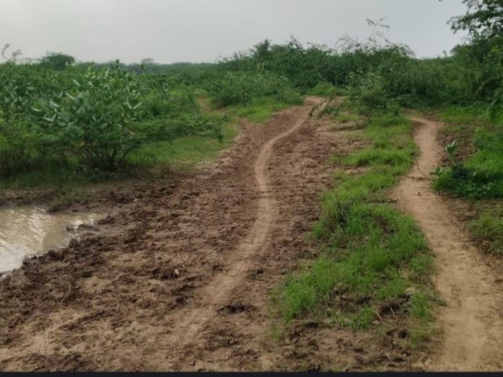 High court’s stay on the newly formed Gram Panchayat Kalapura | जालोर की नवगठित ग्राम पंचायत कलापुरा पर हाईकोर्ट की रोक: 12 अगस्त को फिर होगी सुनवाई; जिला प्रशासन ने नियम विरुद्ध बनाया था – Jalore News