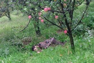Kulgam Encounter | Jammu Kashmir Terrorist Search Operation Update – Indian Army | कुलगाम एनकाउंटर का दूसरा दिन, आतंकियों की तलाश जारी: एक दिन पहले मुठभेड़ में दो आतंकवादी मारे गए थे; दो जवान हुए थे शहीद