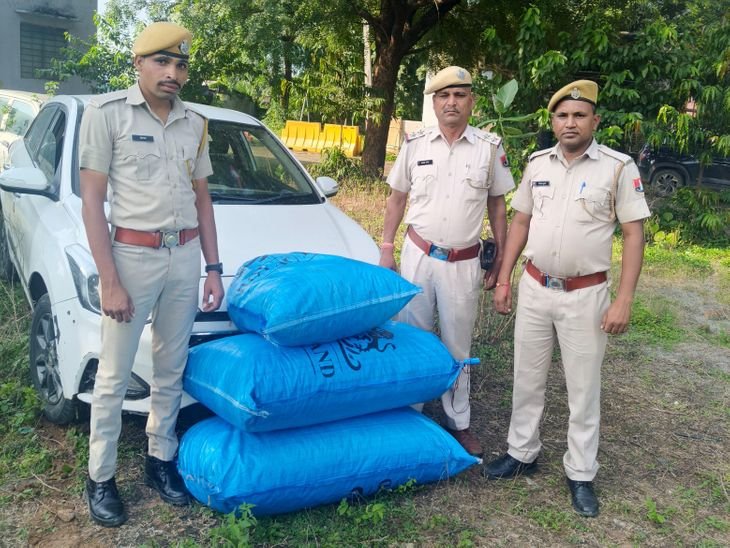51 kg opium poppy seized in Pratapgarh | प्रतापगढ़ में 51 किलो अफीम डोडाचूरा पकड़ा: पुलिस को देख खेतों में भागा तस्कर, कार जब्त – pratapgarh (Rajasthan) News