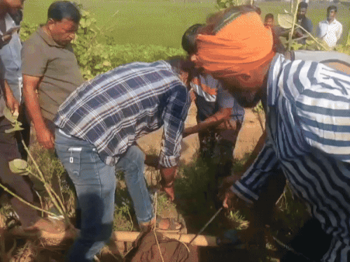Rajasthan kota Rescue of two crocodiles in Kota,Hid under a car in the colony, ran away when caught, rescued in 20 minutes, forest worker Virendra | कोटा में दो मगरमच्छ का रेस्क्यू: कॉलोनी में कार के नीचे छिपा, पकड़ने पर दौड़ा, 20 मिनट में रेस्क्यू – Kota News