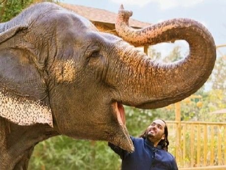 Supreme Court Dismisses Plea, Upholds Vantara Report