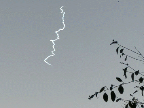 आज भी दुबई में फंसे रहेंगे एमपी के लोग:शारजाह से इंदौर आने वाली एयर इंडिया एक्सप्रेस की फ्लाइट आज भी कैंसिल, विजयवर्गीय संपर्क में