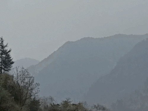 IMD Weather Update; MP Rajasthan Haryana Heatwave Alert