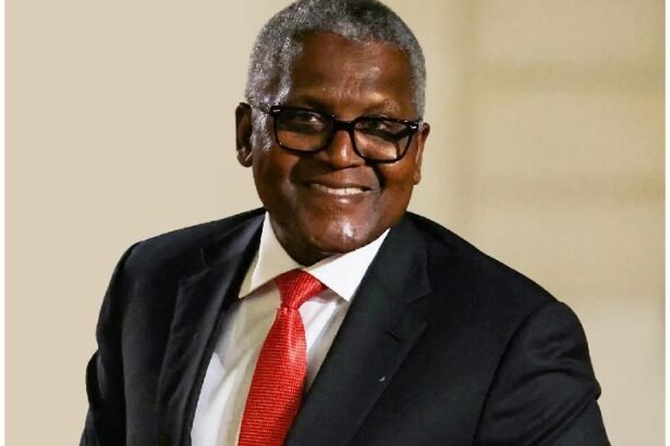 फोर्ब्स अफ्रीकी अरबपतियों की सूची में अव्वल अलीको डेंगोटे:बैंक से निकाले 90 करोड़, रातभर कैश छूते रहे ताकि अमीर होने का एहसास हो, 8 की उम्र में सीखने लगे थे बिजनेस के गुर