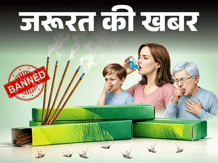 जरूरत की खबर- 'मच्छर अगरबत्तियों' में खतरनाक केमिकल्स:खरीदने से पहले चेक करें ये 7 चीजें, नेचुरल तरीकों से मच्छर भगाने के 11 टिप्स