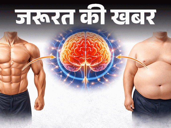 Brain Health Indicator; Muscle Fat Ratio