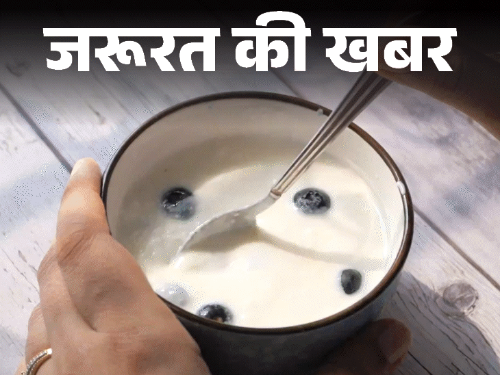 Curd Health Benefits; Blood Pressure Gut Microbiome