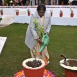 राष्ट्रपति द्रौपदी मुर्मू ने रिट्रीट में खुमानी का पौधा लगाया:व्यवस्थाओं का फीडबैक लिया, कल कृषि विश्वविद्यालय पालमपुर जाएंगी; दीक्षांत समारोह में शिरकत करेंगी