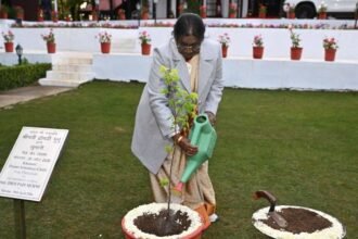 राष्ट्रपति द्रौपदी मुर्मू ने रिट्रीट में खुमानी का पौधा लगाया:व्यवस्थाओं का फीडबैक लिया, कल कृषि विश्वविद्यालय पालमपुर जाएंगी; दीक्षांत समारोह में शिरकत करेंगी