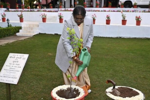 राष्ट्रपति द्रौपदी मुर्मू ने रिट्रीट में खुमानी का पौधा लगाया:व्यवस्थाओं का फीडबैक लिया, कल कृषि विश्वविद्यालय पालमपुर जाएंगी; दीक्षांत समारोह में शिरकत करेंगी