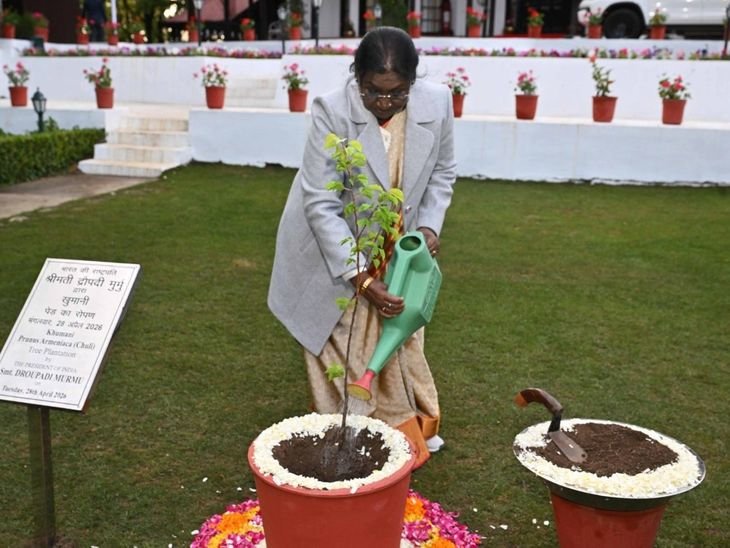 राष्ट्रपति द्रौपदी मुर्मू ने रिट्रीट में खुमानी का पौधा लगाया:व्यवस्थाओं का फीडबैक लिया, कल कृषि विश्वविद्यालय पालमपुर जाएंगी; दीक्षांत समारोह में शिरकत करेंगी