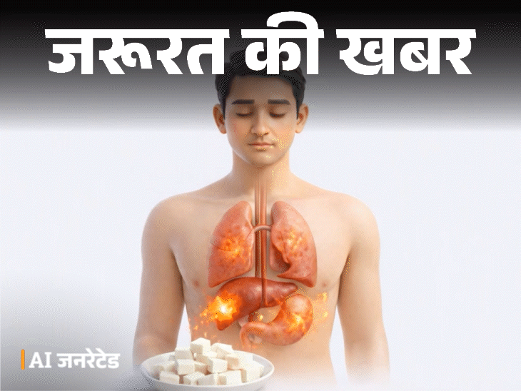 Surat Paneer Racket Busted; Real Vs Fake Cottage Cheese Identify