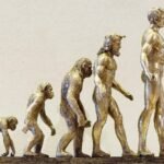 The journey of human evolution is understood from 15,836 ancient remains.