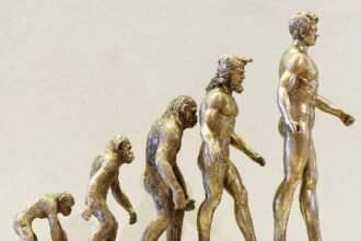 The journey of human evolution is understood from 15,836 ancient remains.