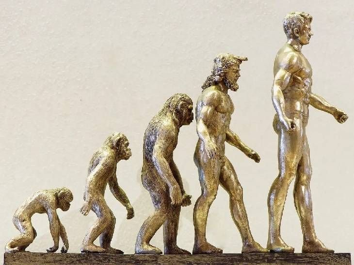 The journey of human evolution is understood from 15,836 ancient remains.