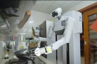 चीन; अब पैंथर संभालेगा घर की कमान:सारे घरेलू काम करने को तैयार है ह्यूमनॉइड रोबोट, डिलीवरी शुरू