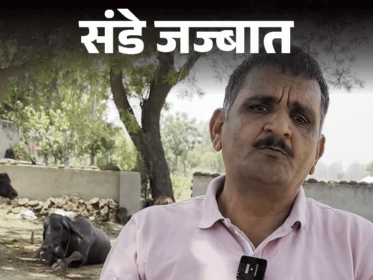 संडे जज्बात-हम अधेड़ कुंवारे कौवों जैसे अपशकुन माने जाते हैं:सरकार हमें देती है पेंशन, जाने कितने जानवरों से रेप करते पकड़े गए