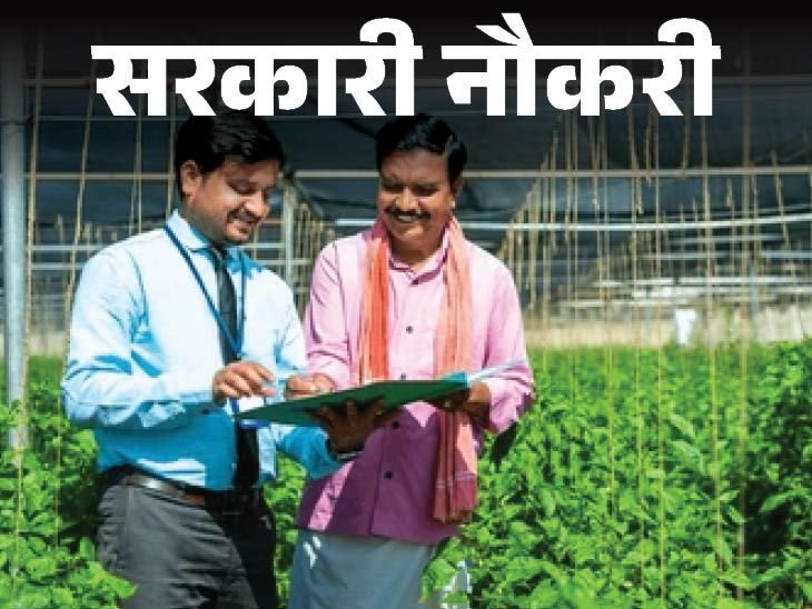 BRO, LIC HFL, MCL Recruitment 2026
