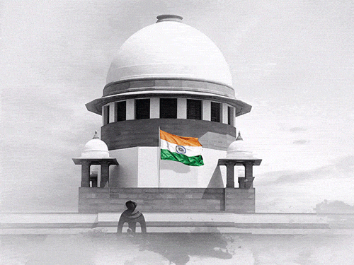 Supreme Court Stray Dog Verdict Today