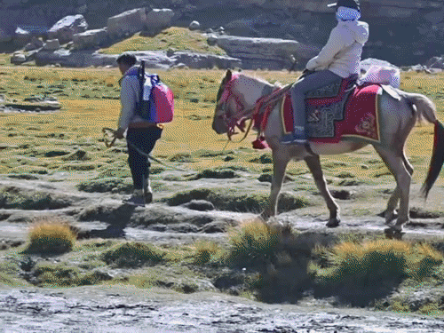 Nepal Claims Lipulekh Territory Amid Kailash Mansarovar Route Dispute