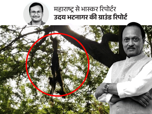 Ajit Pawar Plane Crash Black Magic Mystery; Ashok Kharat – NCP MLA