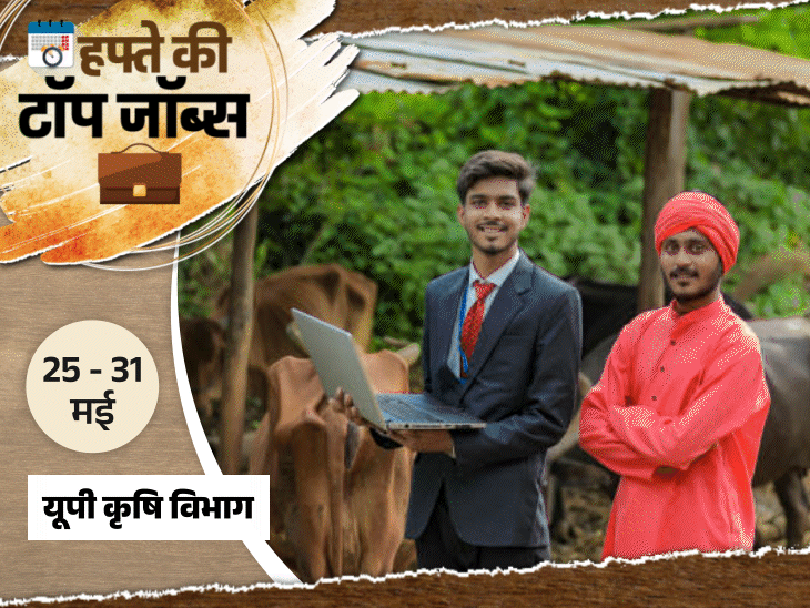 हफ्ते की टॉप जॉब्स:SSC CGL की 12,256 भर्तियों का नोटिफिकेशन जारी, RSSB में 3951 वैकेंसी; इस हफ्ते 20,866 नौकरियां