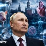 Grow Human Organs in Pigs